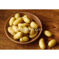 Verkauf Shandong frische Kartoffeln